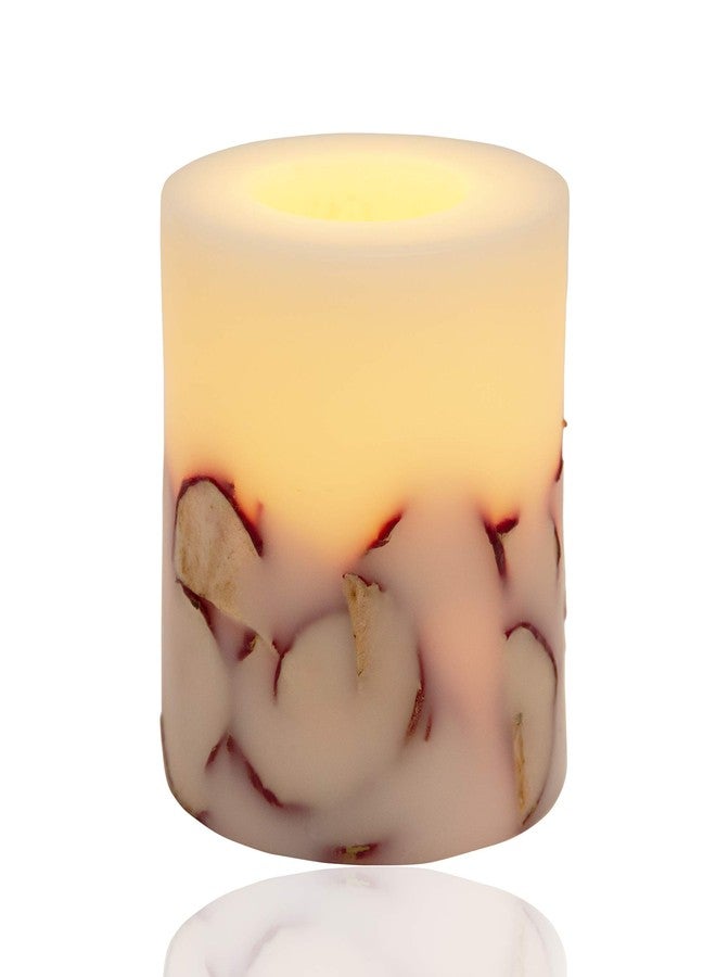 ANDALUCA Apple Botanical Candle | 5 x 5 inch | Handmade in USA | 100+ Hours - Image 2